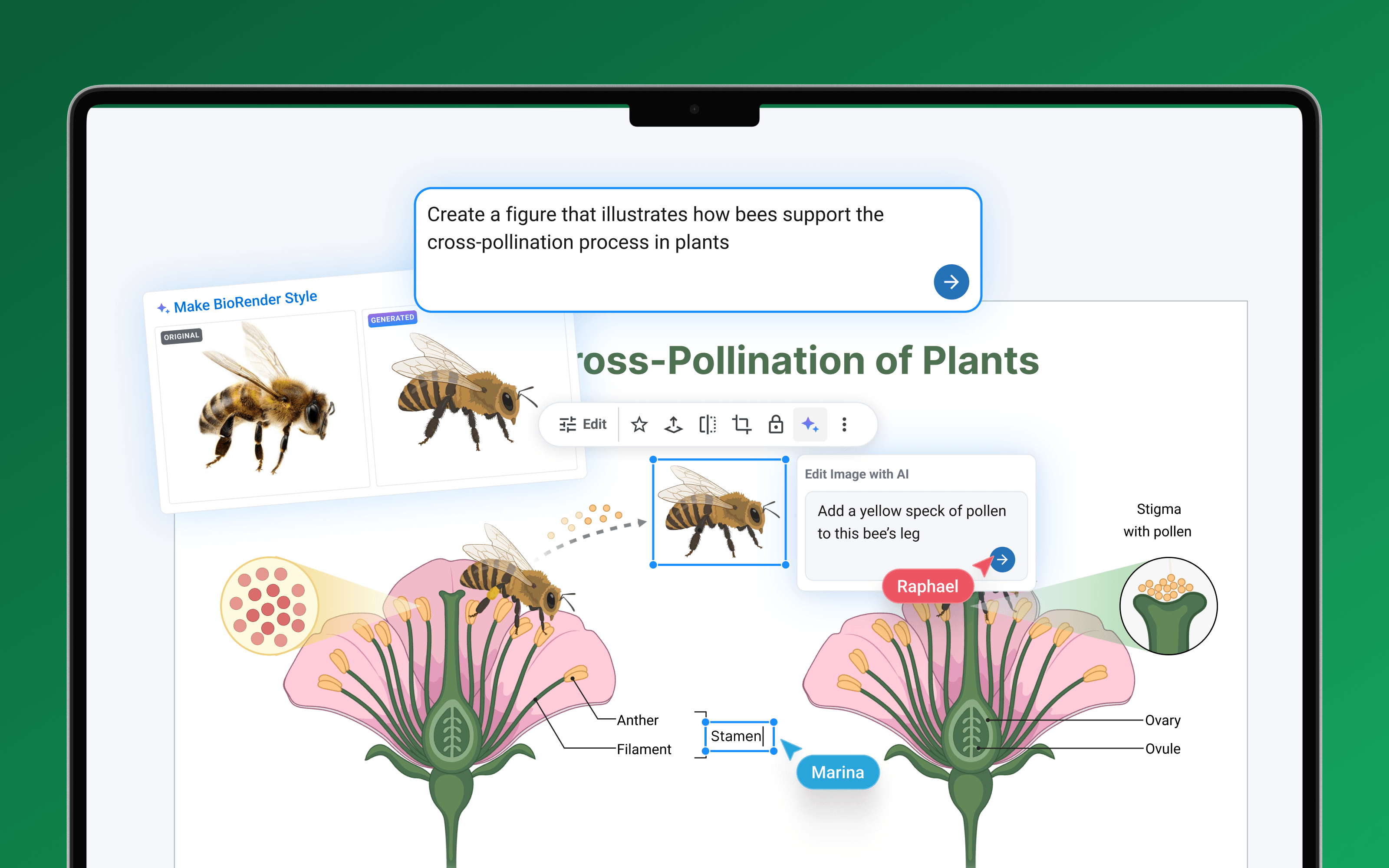 BioRender product interface